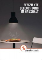 Cover_Lichtratgeber_Haushalte_bfe_de_352x500